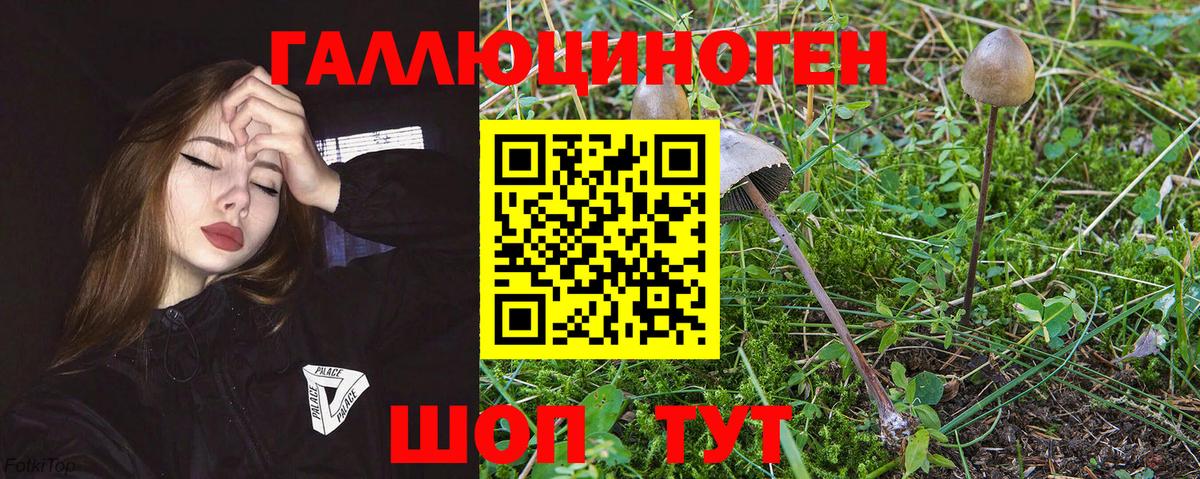 Псилоцибиновые грибы MAGIC MUSHROOMS  Вход с VPN  Лыткарино 